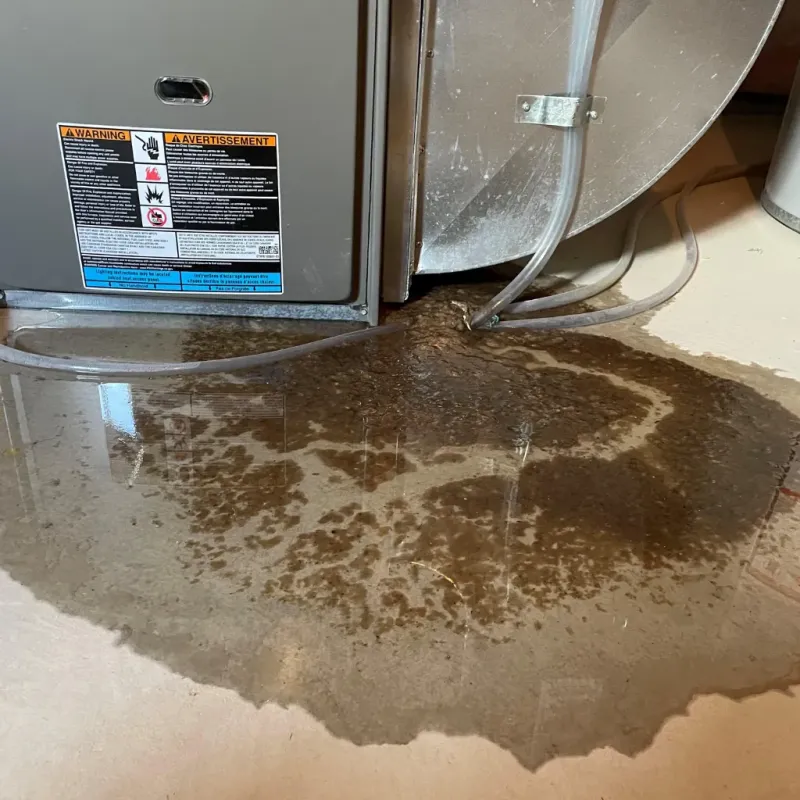 Appliance Leak Cleanup in Chevak, AK